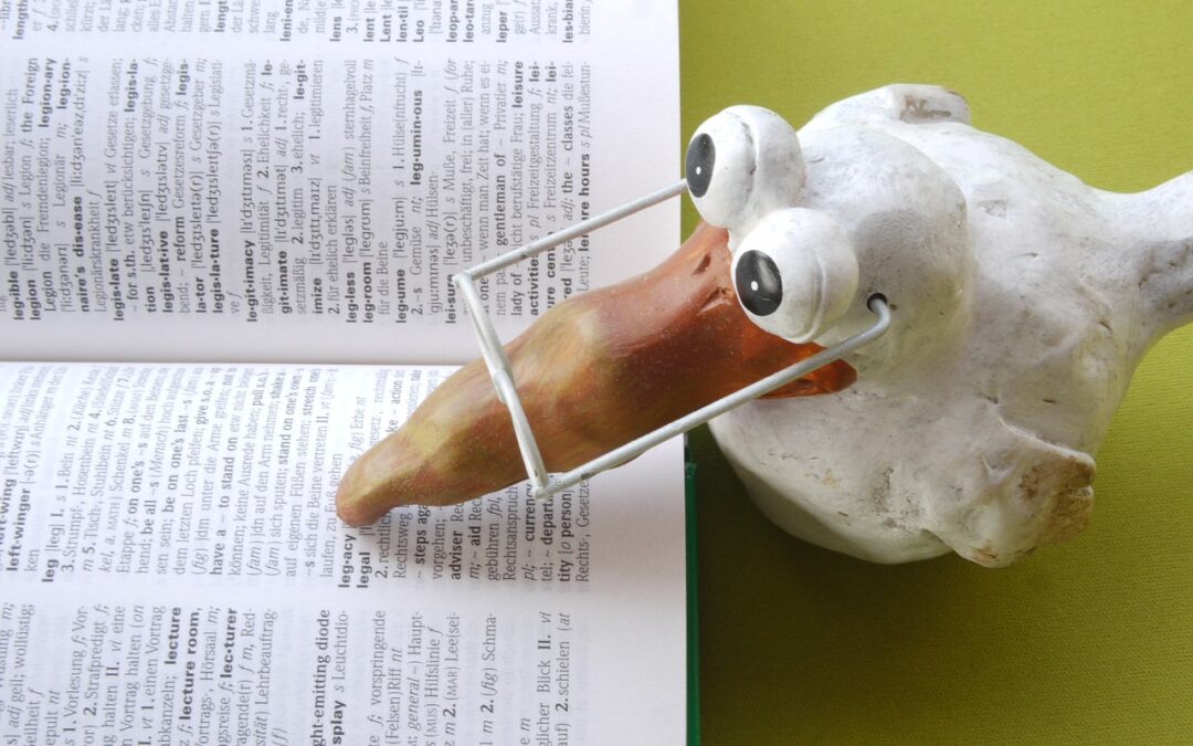 Figura de pájaro con gafas junto a un libro. Diferencias entre traducción simple y jurada