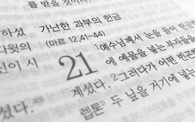 Traducciones sin errores en chino